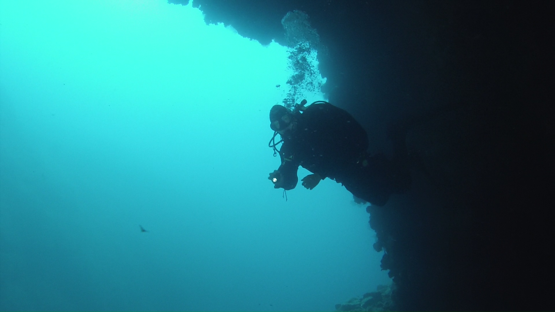 vlcsnap-2015-08-23-11h43m00s899.jpg